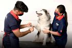 This National Dog Day, Zigly organizes FREE Anti Rabies Vaccine drive across their experience centres