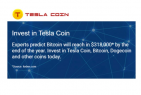TeslaCoin Review 2022: Is Tesla Coin Legit Trading Robot?