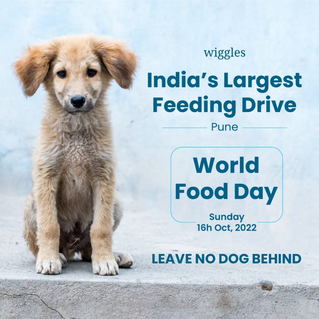 Wiggles organises dog feeding drive on World Food Day | APN News